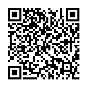 每一个人都是勾动人内心深处的兴奋和激动情绪的二维码生成