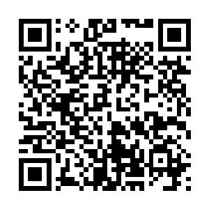 每一个修士的修为都在以一个之前难以想象的速度提升二维码生成