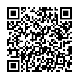 每一个古家族都有着自己最为神秘和核心的力量二维码生成