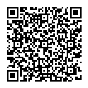 每一个大铁笼子都比b级和c级的铁笼子大两到三倍――就算都被11号训练营当作野兽二维码生成