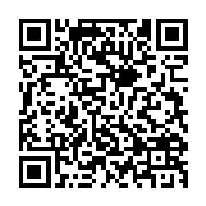 每一个天心真人在冲击天心时都会在某个方面得到特殊的加成二维码生成