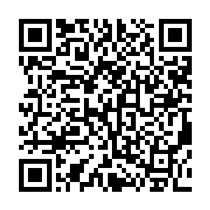 每一个巨大红色的果实都有一根红丝连接着巨大的茧的底部二维码生成