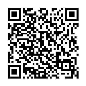 每一个湮灭的世界都代表着玄界珠将其中的法则吞噬干净二维码生成