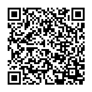 每一个燕子坞的村民都想着有朝一日把自己的名字给刻在村口的大石头上面二维码生成