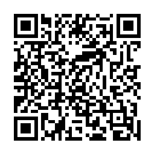 每一个的嘴角上真的都不自觉地扬起了一丝淡淡地微笑来二维码生成