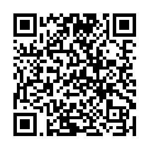 每一个石灵背后都忽然出现了一双双色彩鲜明的翅膀二维码生成