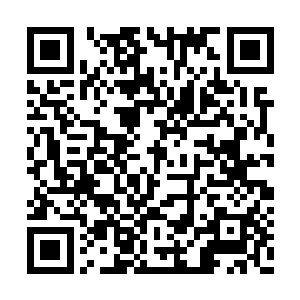 每一个符人的身上都散发着天尊后期巅峰的实力二维码生成