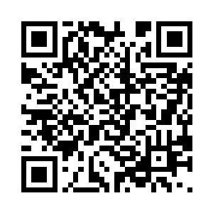 每一个能踏下心来留下继续写文的作者二维码生成