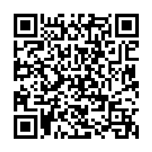 每一个见到这样天象的修士事后回忆起来还会惊叹二维码生成