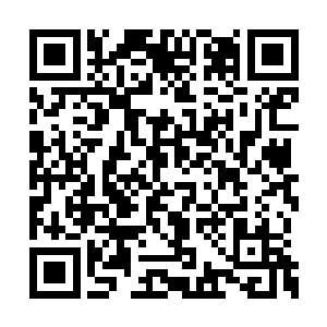 每一个进出餐厅的人员都要经过他们的审视过滤二维码生成