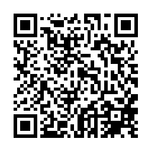 每一代成员间分割财富的家族往往会失去他们的财富二维码生成