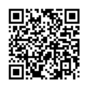 每一代的万石兽都与前面的亲代存在差异二维码生成