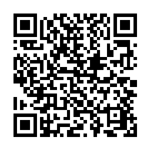 每一代皇帝到了暮年的时候都能看到最不愿看到的骨肉相残二维码生成