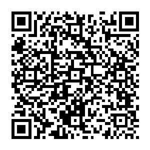 每一代老圣主都会打造一副自己的棺木送进圣陵之中的……而且此地未免也太过整洁了一些二维码生成