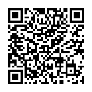 每一位年轻女子站在白如玉的身后都会轻轻的挥手二维码生成