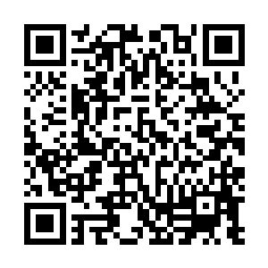 每一具受害者的尸体都是一个值得仔细研究的犯罪作品啊二维码生成