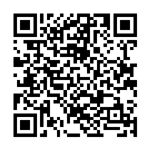 每一击下去方圆数万数十万里的噬灵一族全都化为飞灰二维码生成