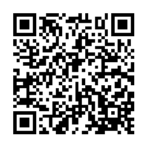 每一击的威力都堪比举霞中期巅峰境界强者的一击二维码生成