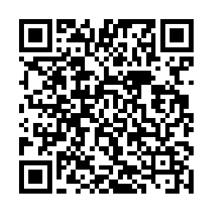 每一击都带着八极拳的和身体调节后全力爆发的威力二维码生成