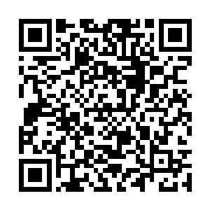 每一刀都是仅能在淡金光芒上斩出白色痕迹的程度二维码生成