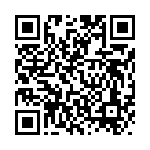 每一只巨鼠都是有成年狗一般大小二维码生成