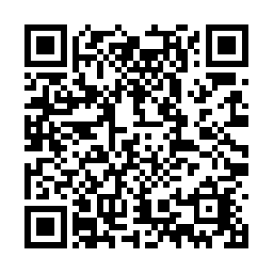 每一名新人身边都会跟随一名暮光之剑的核心成员二维码生成