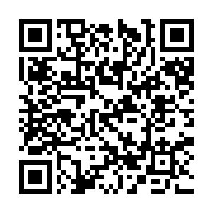 每一名有爵位的血族都听到了来自血脉深处的呼唤二维码生成