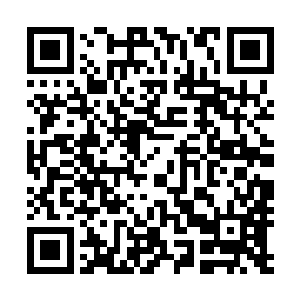 每一声惨叫仿佛都在这些追兵本来就不高的士气上撒一泡尿二维码生成