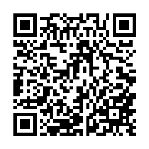 每一天都要重新打破前一天自己刚刚创造下的各种记录二维码生成