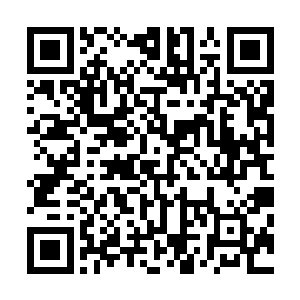 每一届的前十位都是来自于皇城中有着庞大背景的嫡系天骄二维码生成