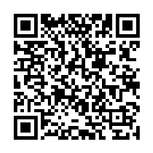 每一届的龙凤榜的开启都是这些新老天骄之间的战斗二维码生成