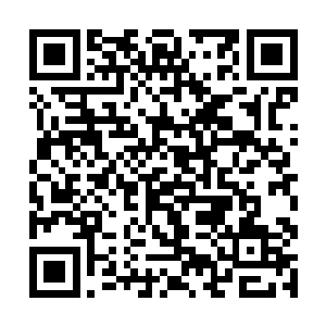 每一条元纹的力量都相当于六重异象宗师的全力一击二维码生成