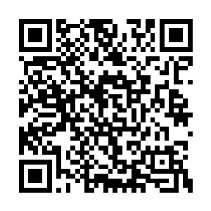 每一根立柱上面都雕琢着极为精美而奇特的图案二维码生成