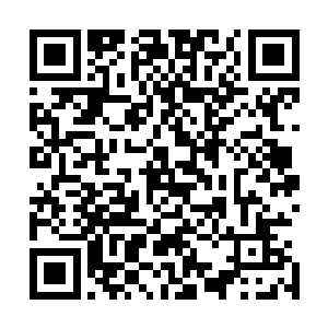 每一根管道中都灌满了血液管道的下方放着一只只的高脚杯二维码生成