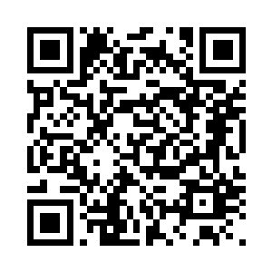 每一根羽毛都绽放着金子一样的光芒二维码生成