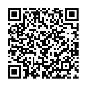 每一根蓝色的光柱都是由纯净的水元素之力凝聚而成二维码生成