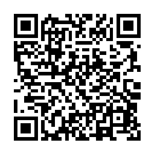 每一桌上都摆满了一盘盘山珍海味和一坛坛美酒二维码生成