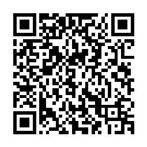 每一次交手所产生的力量波动让远处的人们一个个都是心惊胆战二维码生成