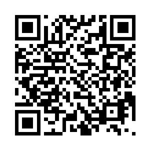 每一次叶秋将他们分出来都是跑去送死二维码生成