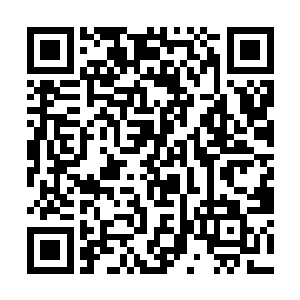 每一次在整理消化脑海当中那些前辈们的记忆传承时二维码生成