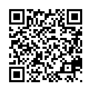 每一次我看到街上那些可怜的流浪狗们二维码生成