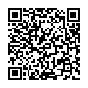 每一次玄黄秘境的开启陨落在里面的人可以说是数不胜数二维码生成