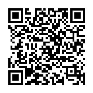 每一次的攻击都堪比九九归一的神皇后期大能全力一击二维码生成