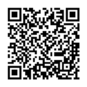每一次的试炼都有差不多一半的人会陨落在里面二维码生成