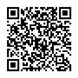 每一次的轮回就可以获得一个生命单位的灵魂和生命力二维码生成