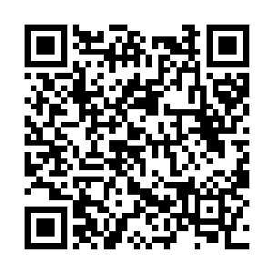 每一次紫薇宗弟子考核都会涌现出天赋强大的弟子二维码生成