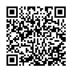 每一次贵宾通道的开启在首都来说那都是盛大而又隆重的事情二维码生成