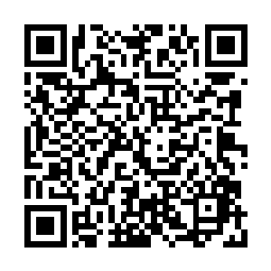 每一次进攻似乎都会攻破云达不莱梅的球门一样二维码生成