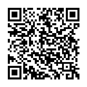 每一秒钟都要竭尽所能发送最有趣的脑电波出去二维码生成