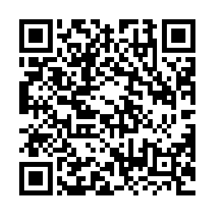 每一缕都蕴含着皇级武者的对于武道的领悟甚至是传承二维码生成